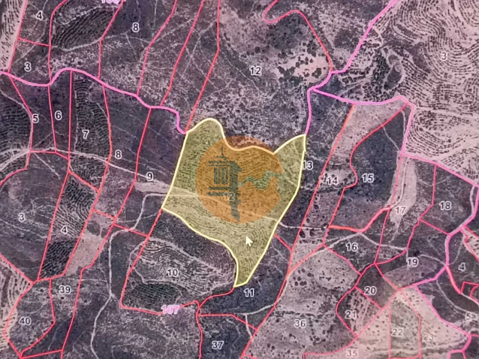 Terreno para Venda em Alcoutim e Pereiro Foto 14