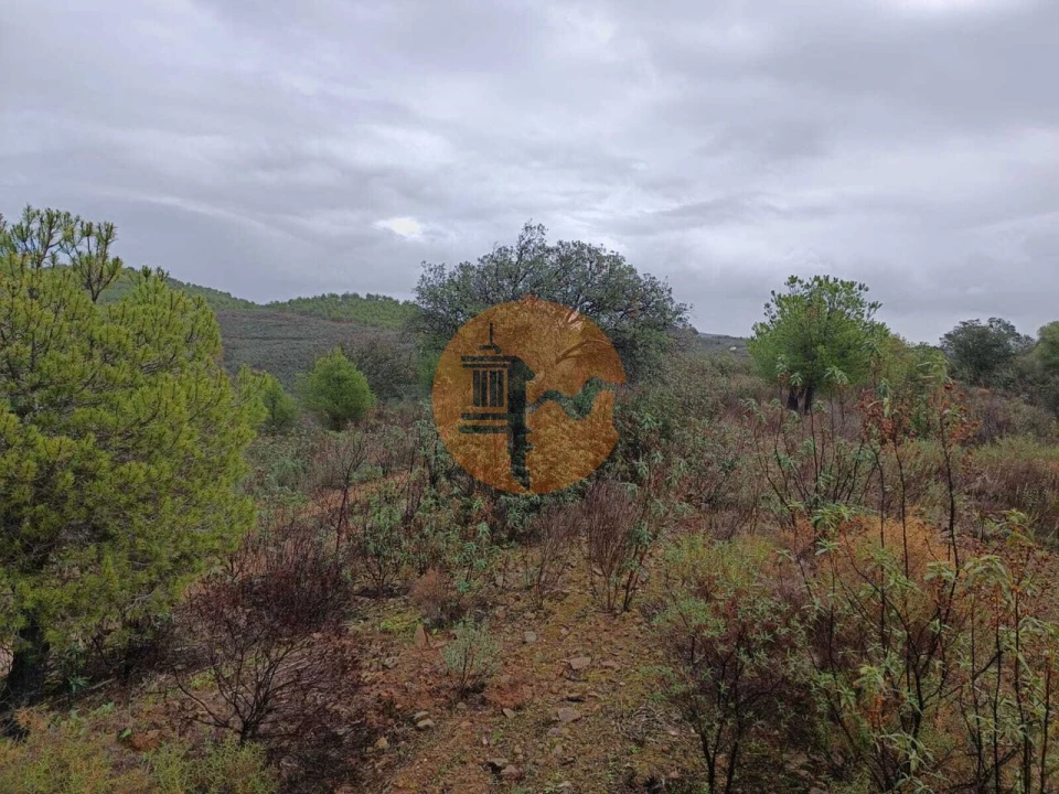 Terreno para Venda em Alcoutim e Pereiro Foto 15