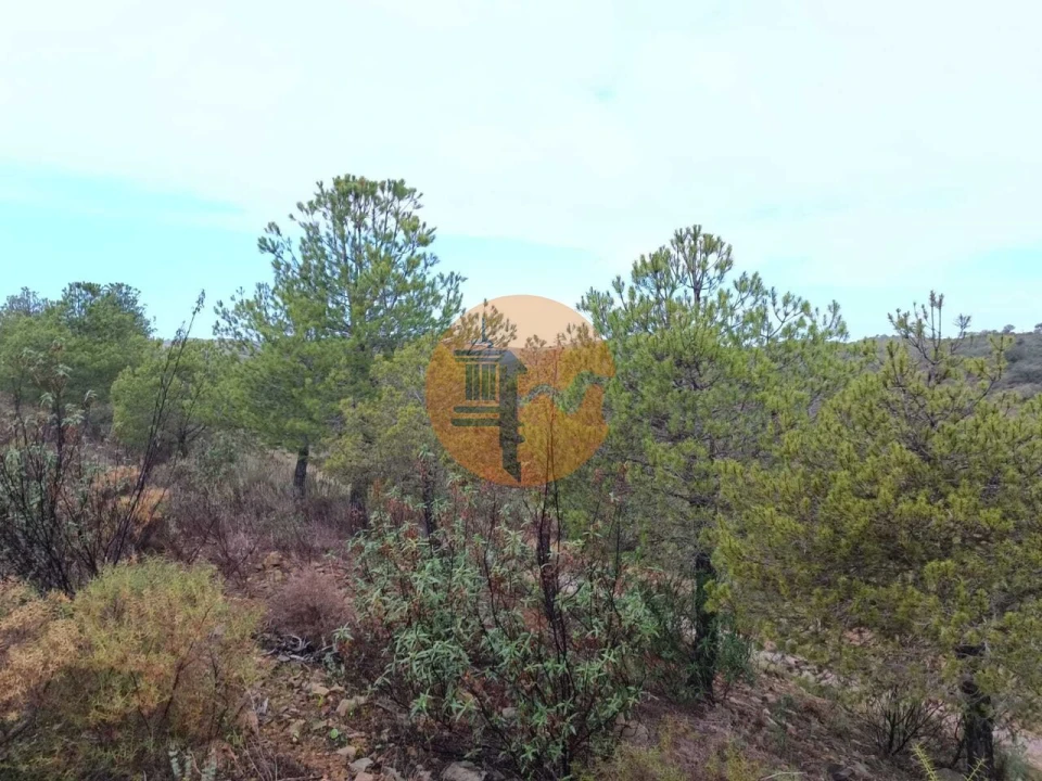 Terreno para Venda em Alcoutim e Pereiro Foto 17