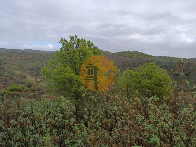 Terreno para Venda em Alcoutim e Pereiro Foto 4