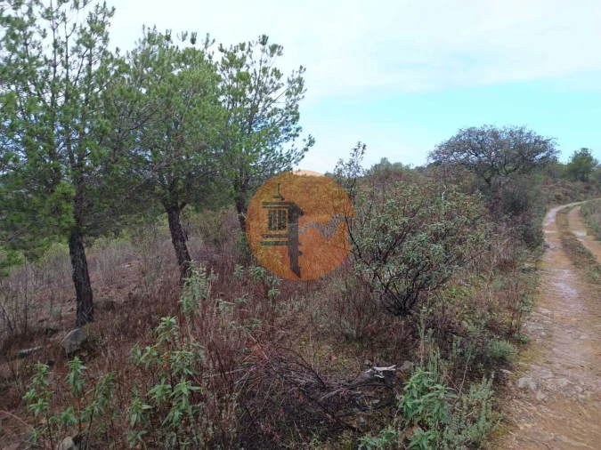 Terreno para Venda em Alcoutim e Pereiro Foto 7