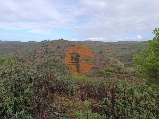 Terreno para Venda em Alcoutim e Pereiro Foto 8