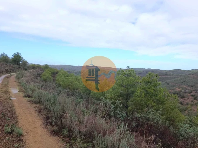 Terreno para Venda em Alcoutim e Pereiro Foto 9