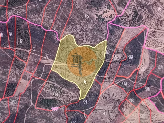 Terreno para Venda em Alcoutim e Pereiro Foto 11