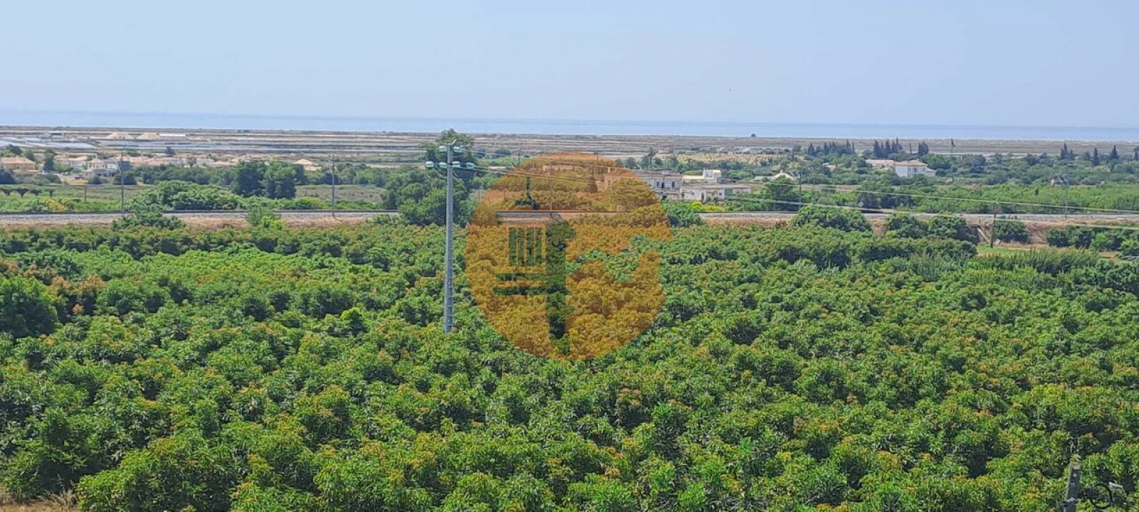 Apartamento T3 para Venda em Tavira (Santa Maria e Santiago) Foto 5