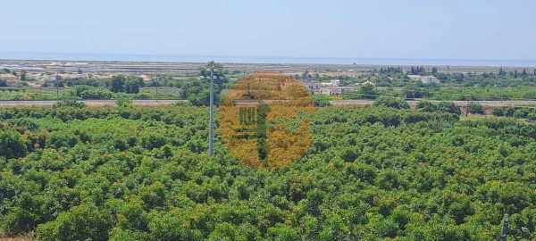 Apartamento T3 para Venda em Tavira (Santa Maria e Santiago)