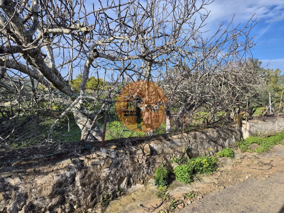 Terreno para Venda em Alcoutim e Pereiro Foto 3