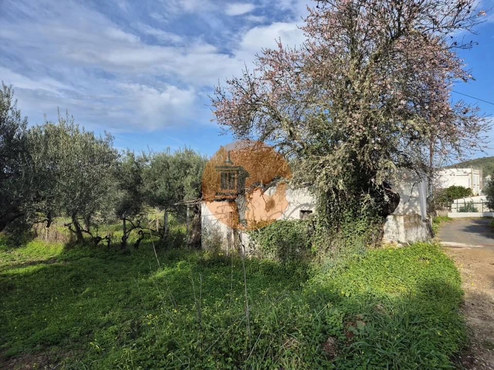 Terreno para Venda em Alcoutim e Pereiro Foto 1