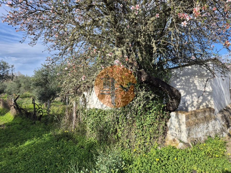 Terreno para Venda em Alcoutim e Pereiro Foto 6