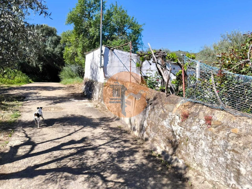 Terreno para Venda em Alcoutim e Pereiro Foto 9