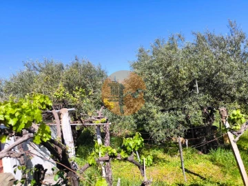 Terreno para Venda em Alcoutim e Pereiro