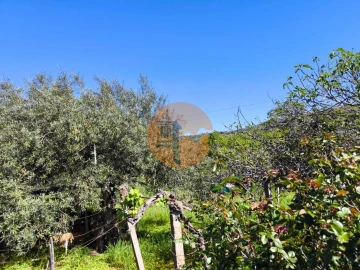 Terreno para Venda em Alcoutim e Pereiro