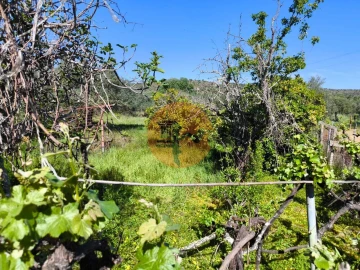 Terreno para Venda em Alcoutim e Pereiro