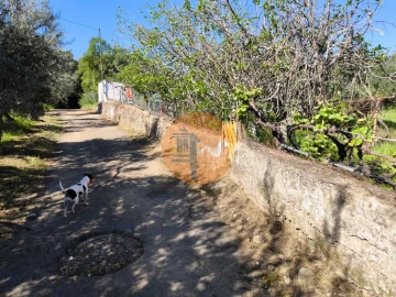 Terreno para Venda em Alcoutim e Pereiro
