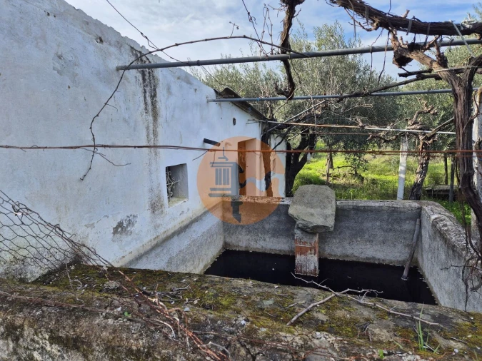 Terreno para Venda em Alcoutim e Pereiro Foto 2