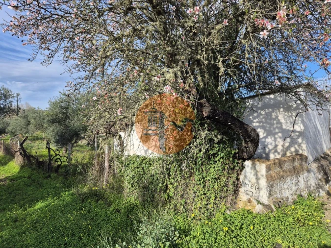Terreno para Venda em Alcoutim e Pereiro Foto 6