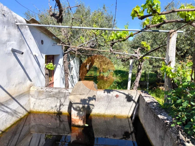 Terreno para Venda em Alcoutim e Pereiro Foto 3