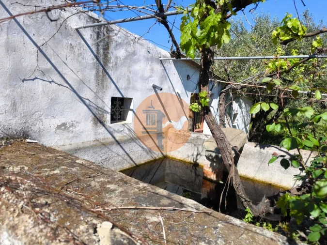 Terreno para Venda em Alcoutim e Pereiro Foto 4