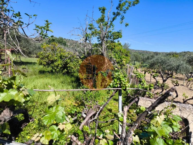 Terreno para Venda em Alcoutim e Pereiro Foto 12