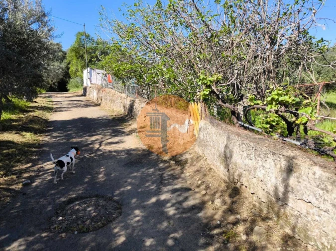 Terreno para Venda em Alcoutim e Pereiro Foto 13