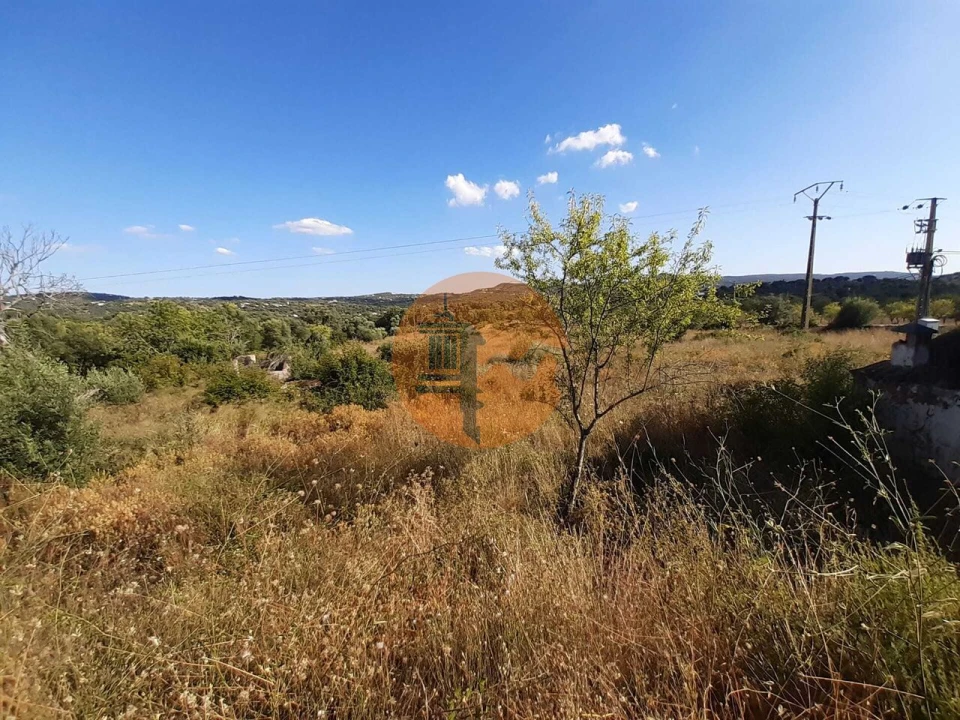 Terreno para Venda em Loule (São Clemente) Foto 13