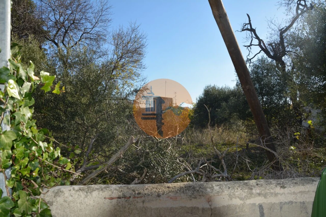 Terreno para Venda em Moncarapacho e Fuseta Foto 7