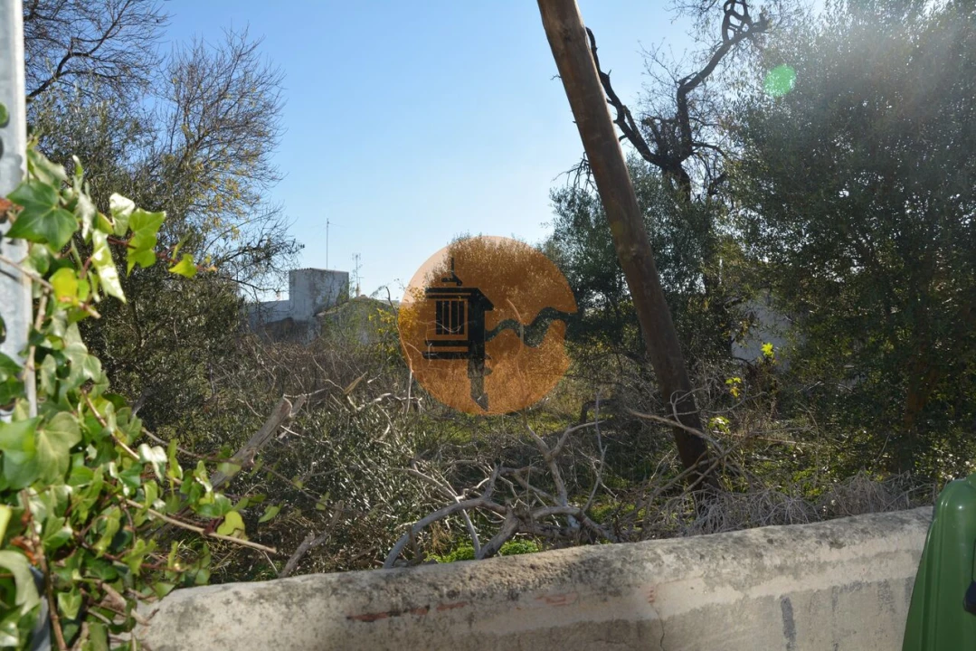 Terreno para Venda em Moncarapacho e Fuseta Foto 8
