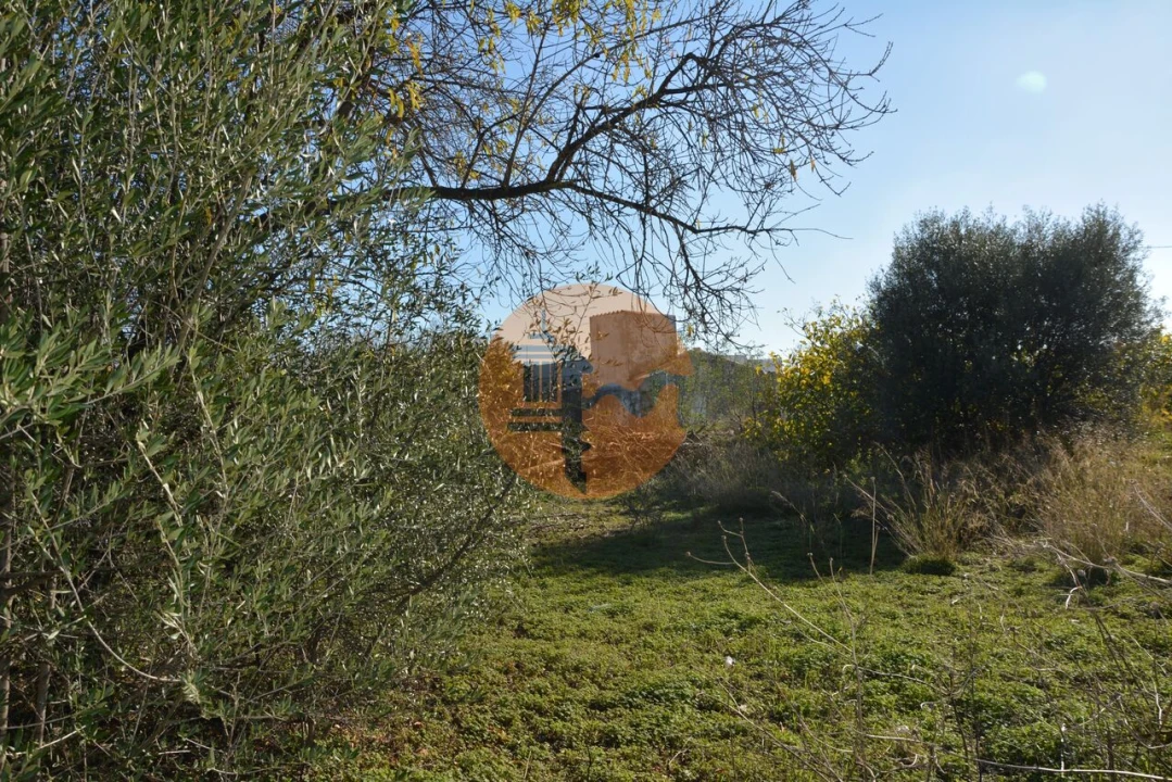 Terreno para Venda em Moncarapacho e Fuseta Foto 27