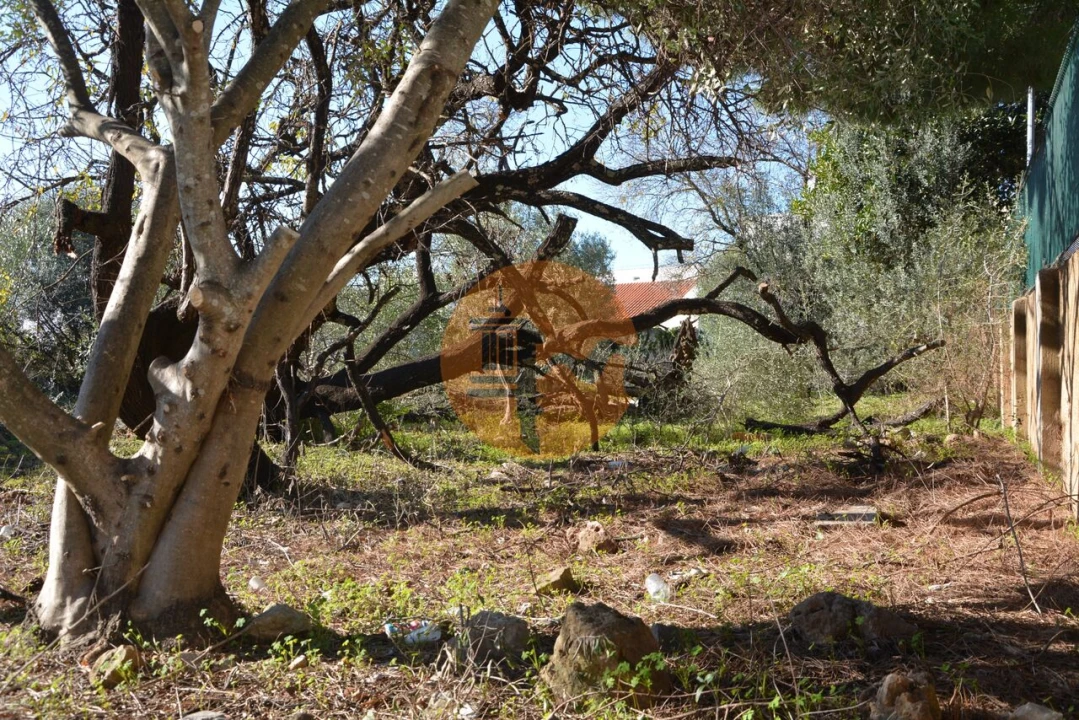 Terreno para Venda em Moncarapacho e Fuseta Foto 32