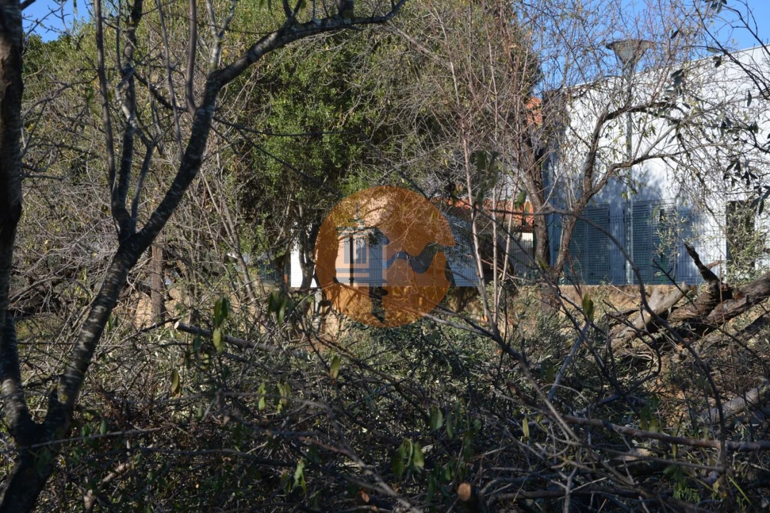 Terreno para Venda em Moncarapacho e Fuseta Foto 35