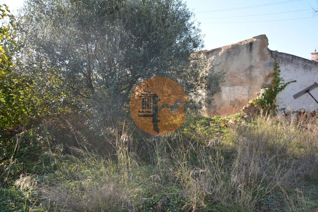 Terreno para Venda em Moncarapacho e Fuseta Foto 47