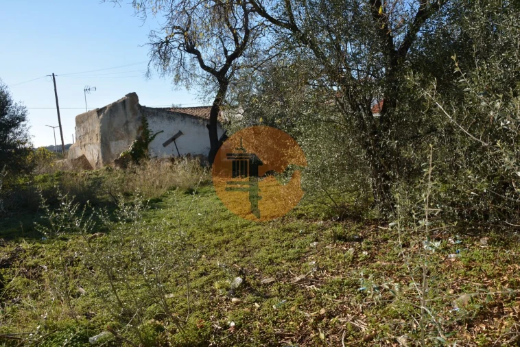 Terreno para Venda em Moncarapacho e Fuseta Foto 2
