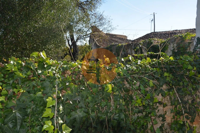 Terreno para Venda em Moncarapacho e Fuseta Foto 5
