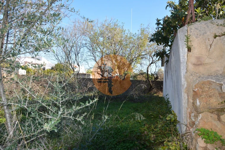 Terreno para Venda em Moncarapacho e Fuseta Foto 11