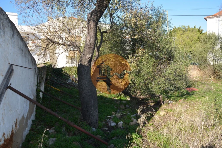 Terreno para Venda em Moncarapacho e Fuseta Foto 12