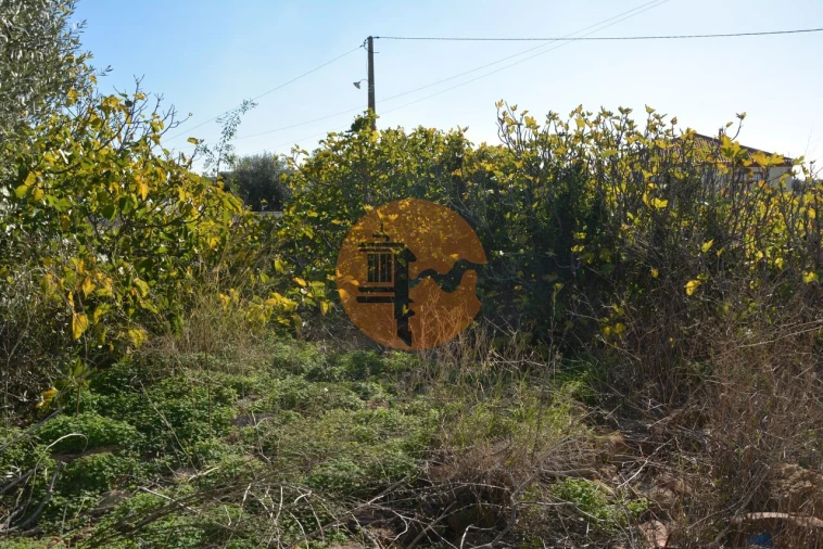 Terreno para Venda em Moncarapacho e Fuseta Foto 21