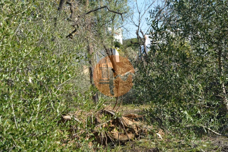 Terreno para Venda em Moncarapacho e Fuseta Foto 26