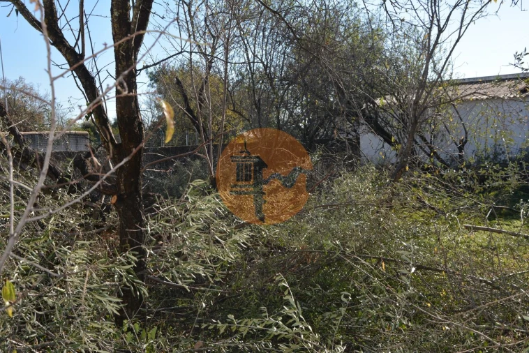 Terreno para Venda em Moncarapacho e Fuseta Foto 28