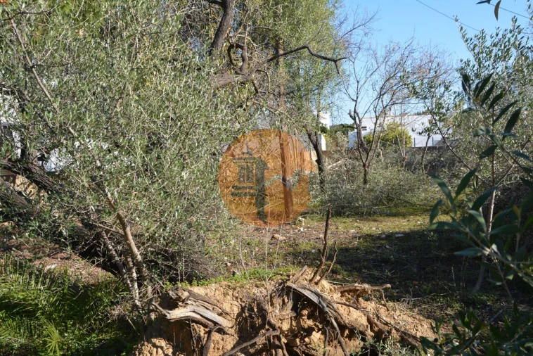 Terreno para Venda em Moncarapacho e Fuseta Foto 29