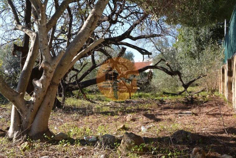 Terreno para Venda em Moncarapacho e Fuseta Foto 32
