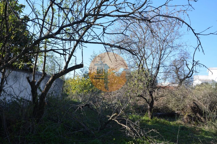 Terreno para Venda em Moncarapacho e Fuseta Foto 33