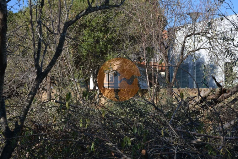 Terreno para Venda em Moncarapacho e Fuseta Foto 35