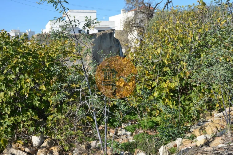 Terreno para Venda em Moncarapacho e Fuseta Foto 39