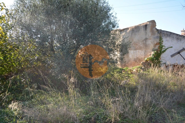 Terreno para Venda em Moncarapacho e Fuseta Foto 47