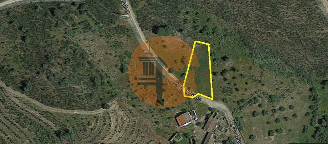Terreno para Venda em Alcoutim e Pereiro Foto 3