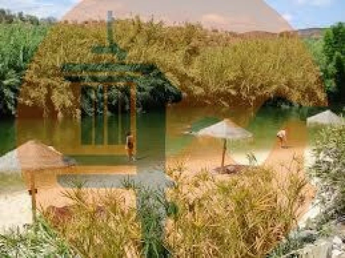 Terreno para Venda em Alcoutim e Pereiro Foto 7