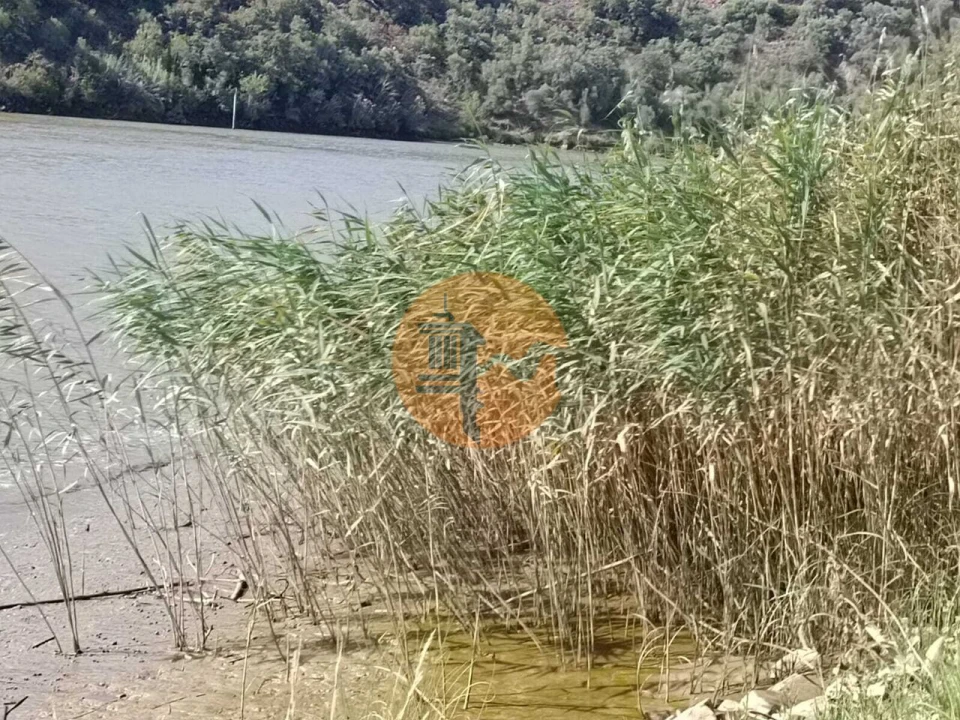 Terreno para Venda em Alcoutim e Pereiro Foto 1