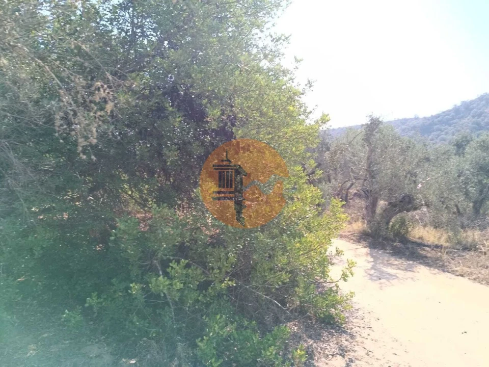 Terreno para Venda em Alcoutim e Pereiro Foto 6