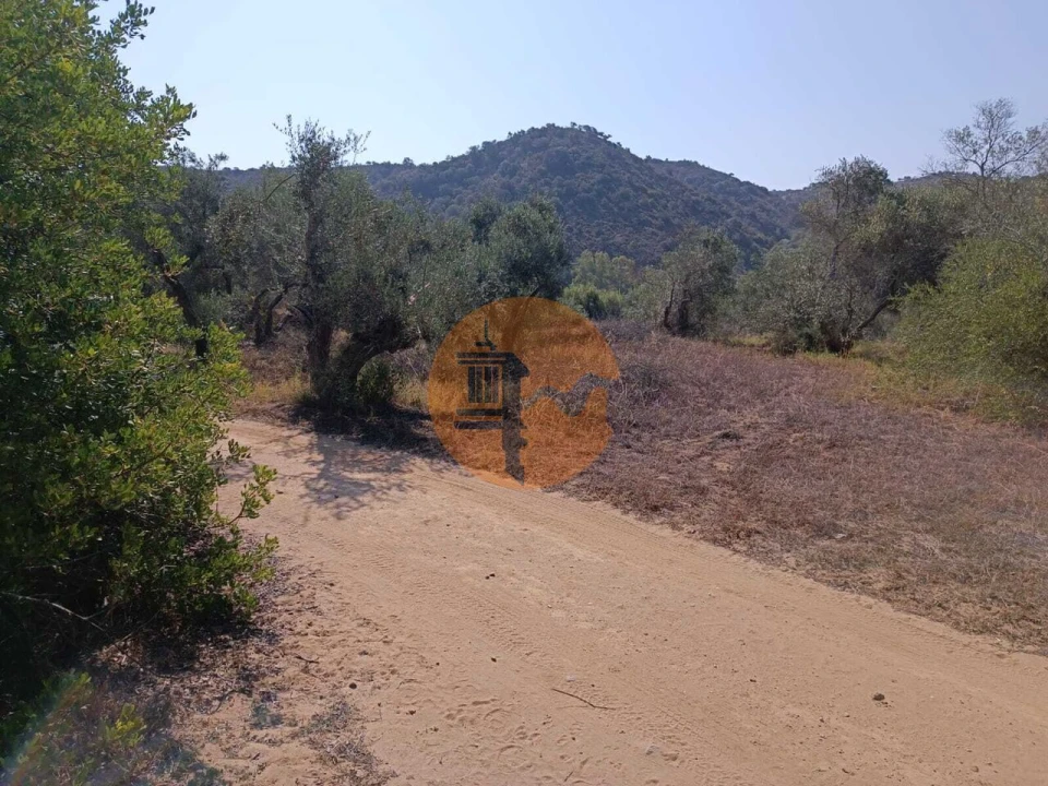 Terreno para Venda em Alcoutim e Pereiro Foto 13