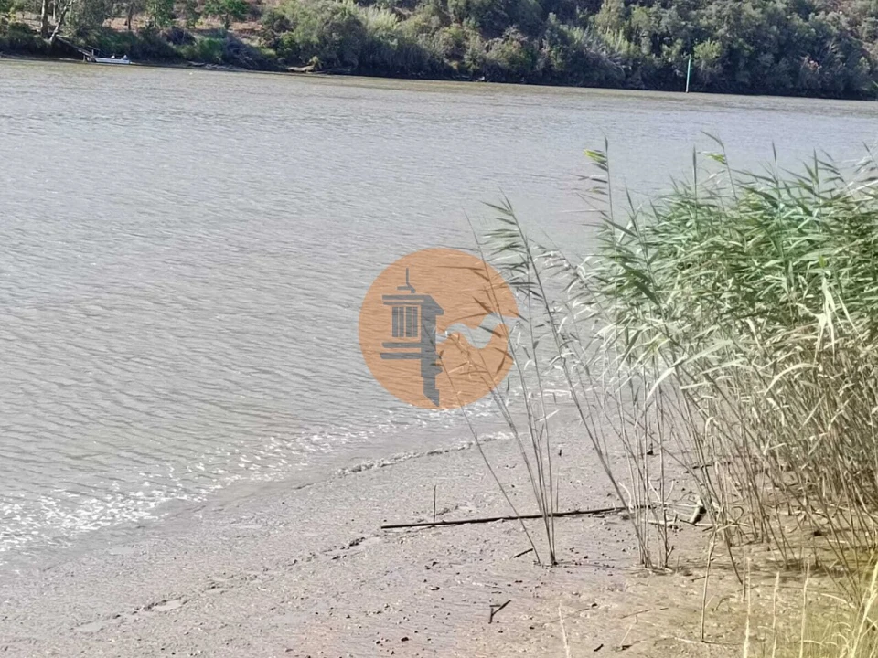 Terreno para Venda em Alcoutim e Pereiro Foto 18